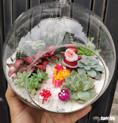 Bạn trẻ biến tấu cây xanh thân thiện môi trường mùa Giáng sinh - Ảnh 4. Bạn trẻ biến tấu cây xanh thân thiện môi trường mùa Giáng sinh - Ảnh 4.