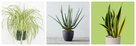 Đảm bảo an toàn trong không gian nội thất - Ảnh 3. Đảm bảo an toàn trong không gian nội thất - Ảnh 3.
