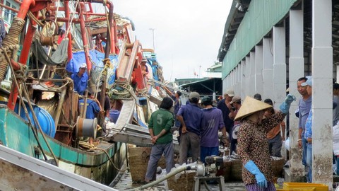 Biển đã cạn cá? - Kỳ 1: Biển Tây chật chội - Ảnh 1. Biển đã cạn cá? - Kỳ 1: Biển Tây chật chội - Ảnh 1.