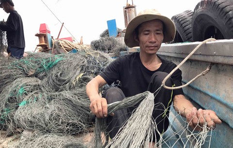 Phải nuôi dưỡng nguồn lợi hải sản - Ảnh 1. Phải nuôi dưỡng nguồn lợi hải sản - Ảnh 1.