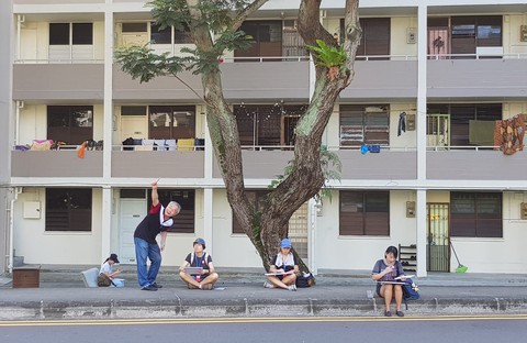 Thông báo tuyển sinh Học viện Nghệ thuật Nanyang (NAFA) - Năm học 2019 - 2020 - Ảnh 2.