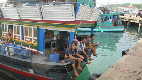 Hải sản cạn kiệt dần, VN tính đến khả năng cấm biển - Ảnh 1. Hải sản cạn kiệt dần, VN tính đến khả năng cấm biển - Ảnh 1.