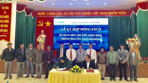 Hỗ trợ nông dân tiết kiệm điện trong chong đèn hoa cúc - Ảnh 1. Hỗ trợ nông dân tiết kiệm điện trong chong đèn hoa cúc - Ảnh 1.