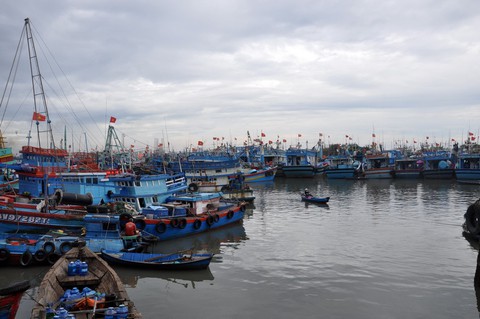 Xuất khẩu thủy sản giảm sâu vì “thẻ vàng” và nguyên liệu đầu vào - Ảnh 3. Xuất khẩu thủy sản giảm sâu vì “thẻ vàng” và nguyên liệu đầu vào - Ảnh 3.