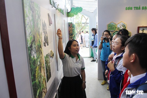 Đà Nẵng có trung tâm giáo dục trải nghiệm thiên nhiên đầu tiên cho trẻ - Ảnh 1. Đà Nẵng có trung tâm giáo dục trải nghiệm thiên nhiên đầu tiên cho trẻ - Ảnh 1.