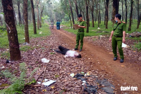 Điều tra vụ người bán vé số chết trong lô cao su - Ảnh 1. Điều tra vụ người bán vé số chết trong lô cao su - Ảnh 1.