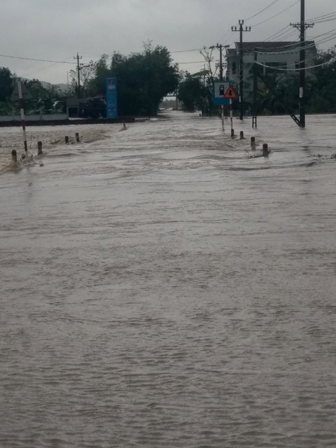 Phú Yên: Mưa lũ ngập đường, hàng ngàn hecta ruộng mất giống - Ảnh 2. Phú Yên: Mưa lũ ngập đường, hàng ngàn hecta ruộng mất giống - Ảnh 2.