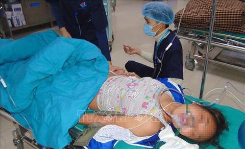 Một nữ bệnh nhân nguy kịch nghi do kiến đốt - Ảnh 1. Một nữ bệnh nhân nguy kịch nghi do kiến đốt - Ảnh 1.