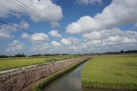 Trà Vinh: “Ốc đảo” Cồn Phụng đã có điện lưới quốc gia - Ảnh 1. Trà Vinh: “Ốc đảo” Cồn Phụng đã có điện lưới quốc gia - Ảnh 1.