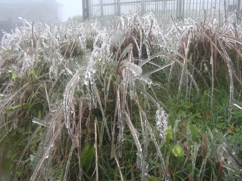 Du khách ùn ùn lên Mẫu Sơn xem băng giá - Ảnh 5. Du khách ùn ùn lên Mẫu Sơn xem băng giá - Ảnh 5.