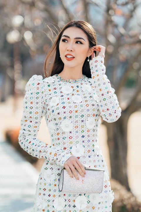 Hoa hậu Tường Linh nhận giải Nghệ sĩ vì cộng đồng ở Hàn Quốc - Ảnh 2. Hoa hậu Tường Linh nhận giải Nghệ sĩ vì cộng đồng ở Hàn Quốc - Ảnh 2.