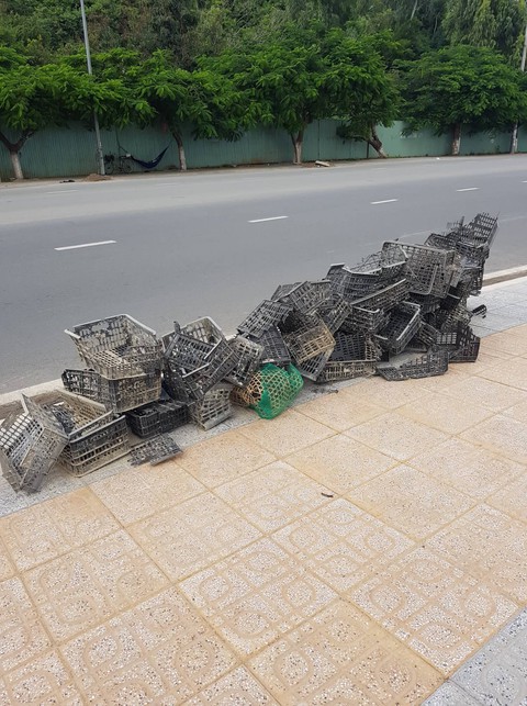 Bãi biển sạch - món quà năm mới cho Nha Trang - Ảnh 2. Bãi biển sạch - món quà năm mới cho Nha Trang - Ảnh 2.
