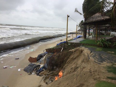 Bờ biển Cửa Đại lại tan hoang trước sóng biển - Ảnh 7. Bờ biển Cửa Đại lại tan hoang trước sóng biển - Ảnh 7.