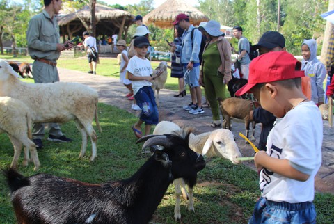 Khách sạn Phú Quốc kín khách du lịch cuối năm 2018 - Ảnh 2. Khách sạn Phú Quốc kín khách du lịch cuối năm 2018 - Ảnh 2.