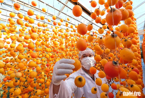Việt Nam 2018 qua góc nhìn của phóng viên báo Tuổi Trẻ - Ảnh 9. Việt Nam 2018 qua góc nhìn của phóng viên báo Tuổi Trẻ - Ảnh 9.