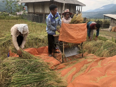 Noong Hẻo hồi sinh sau nạn vàng tặc - Ảnh 1. Noong Hẻo hồi sinh sau nạn vàng tặc - Ảnh 1.