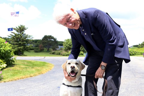 Xúc động hình ảnh chú chó Sully trung thành của ông Bush ‘cha’ - Ảnh 11. Xúc động hình ảnh chú chó Sully trung thành của ông Bush ‘cha’ - Ảnh 11.
