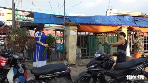 Đào Nhật Tân nở sớm, xuống phố trước tết 2 tháng - Ảnh 3. Đào Nhật Tân nở sớm, xuống phố trước tết 2 tháng - Ảnh 3.