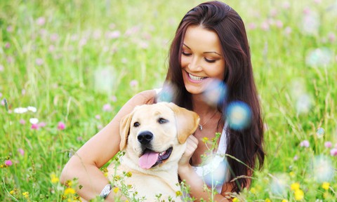 Vì sao ta luôn muốn véo má em bé, xoa đầu chó nhỏ? - Ảnh 1. Vì sao ta luôn muốn véo má em bé, xoa đầu chó nhỏ? - Ảnh 1.