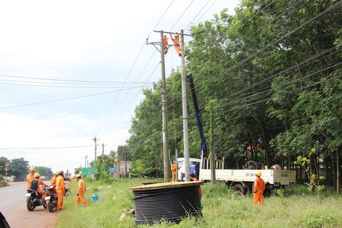Bình Phước quy hoạch 5.000ha phát triển điện mặt trời - Ảnh 1. Bình Phước quy hoạch 5.000ha phát triển điện mặt trời - Ảnh 1.