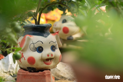 Độc đáo Em ỉn tiết kiệm cõng quất đón Tết ở Hà Nội - Ảnh 4. Độc đáo Em ỉn tiết kiệm cõng quất đón Tết ở Hà Nội - Ảnh 4.