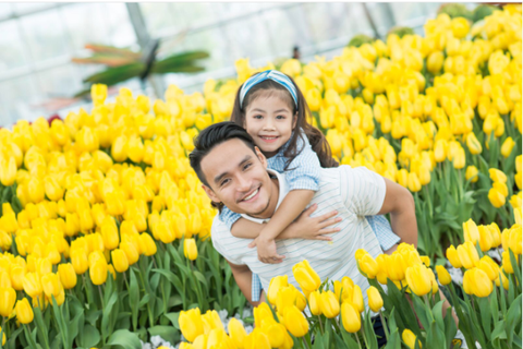Checkin tại Festive Wonderland - Lễ hội thần tiên tại Vinpearl Land - Ảnh 3. Checkin tại Festive Wonderland - Lễ hội thần tiên tại Vinpearl Land - Ảnh 3.