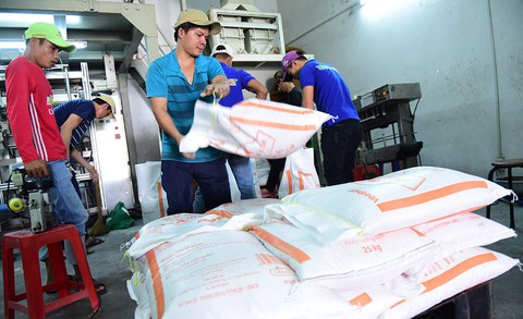 Mặc áo đẹp cho gạo Việt để chinh phục người tiêu dùng - Ảnh 2. Mặc áo đẹp cho gạo Việt để chinh phục người tiêu dùng - Ảnh 2.
