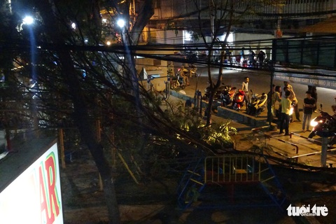 Không giông gió, cây gãy nhánh đè hai trẻ em trong công viên - Ảnh 1. Không giông gió, cây gãy nhánh đè hai trẻ em trong công viên - Ảnh 1.