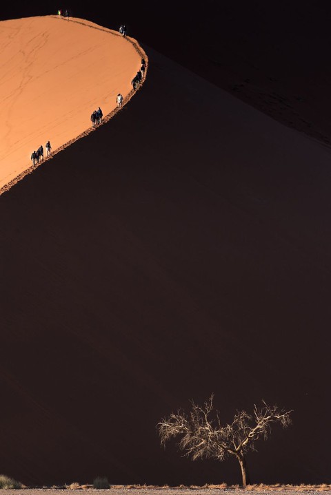 Ngắm ảnh ấn tượng cuộc thi National Geographic Photo Contest 2018 - Ảnh 6. Ngắm ảnh ấn tượng cuộc thi National Geographic Photo Contest 2018 - Ảnh 6.