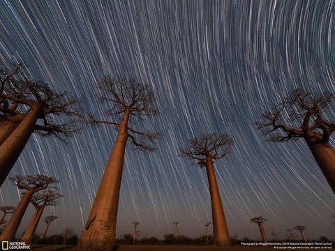 Ngắm ảnh ấn tượng cuộc thi National Geographic Photo Contest 2018 - Ảnh 16. Ngắm ảnh ấn tượng cuộc thi National Geographic Photo Contest 2018 - Ảnh 16.