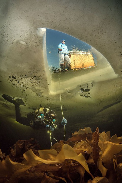 Ngắm ảnh ấn tượng cuộc thi National Geographic Photo Contest 2018 - Ảnh 13. Ngắm ảnh ấn tượng cuộc thi National Geographic Photo Contest 2018 - Ảnh 13.
