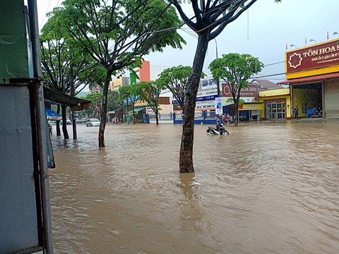 Mưa lớn suốt 2 ngày, nhiều nơi ở Quảng Nam, Bình Định ngập sâu - Ảnh 4. Mưa lớn suốt 2 ngày, nhiều nơi ở Quảng Nam, Bình Định ngập sâu - Ảnh 4.