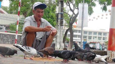 Người nuôi chim trời giữa lòng thành phố - Ảnh 1. Người nuôi chim trời giữa lòng thành phố - Ảnh 1.