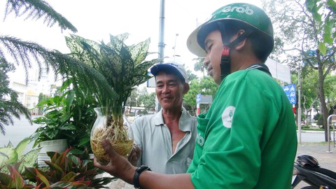 Người nuôi chim trời giữa lòng thành phố - Ảnh 3. Người nuôi chim trời giữa lòng thành phố - Ảnh 3.