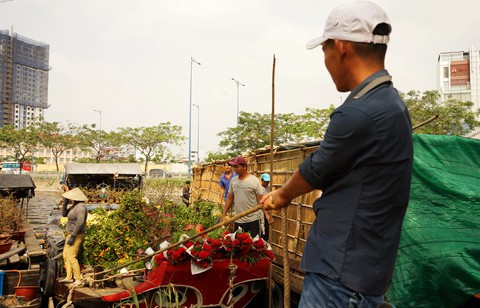 Hoa xuân Bình Đông trên bến dưới thuyền tấp nập sông nước Sài Gòn - Ảnh 5. Hoa xuân Bình Đông trên bến dưới thuyền tấp nập sông nước Sài Gòn - Ảnh 5.