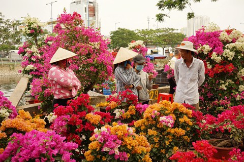 Hoa xuân Bình Đông trên bến dưới thuyền tấp nập sông nước Sài Gòn - Ảnh 6. Hoa xuân Bình Đông trên bến dưới thuyền tấp nập sông nước Sài Gòn - Ảnh 6.