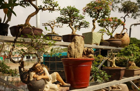 Hoa xuân Bình Đông trên bến dưới thuyền tấp nập sông nước Sài Gòn - Ảnh 7. Hoa xuân Bình Đông trên bến dưới thuyền tấp nập sông nước Sài Gòn - Ảnh 7.