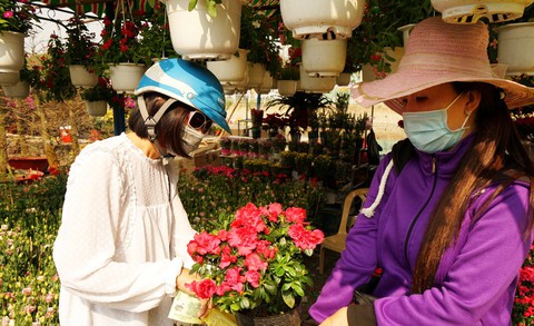 Hoa xuân Bình Đông trên bến dưới thuyền tấp nập sông nước Sài Gòn - Ảnh 9. Hoa xuân Bình Đông trên bến dưới thuyền tấp nập sông nước Sài Gòn - Ảnh 9.