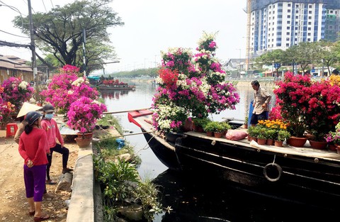 Dân Sài Gòn đủ chợ hoa để chưng tết - Ảnh 1. Dân Sài Gòn đủ chợ hoa để chưng tết - Ảnh 1.