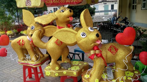 Dân Sài Gòn - Hà Nội bỏ tiền triệu sắm linh vật chó chơi Tết - Ảnh 7. Dân Sài Gòn - Hà Nội bỏ tiền triệu sắm linh vật chó chơi Tết - Ảnh 7.