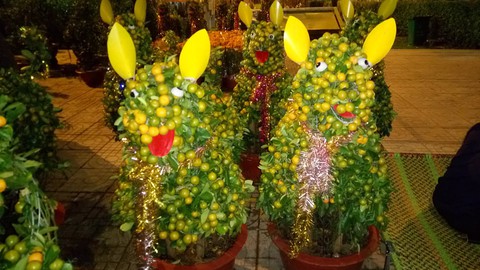 Dân Sài Gòn - Hà Nội bỏ tiền triệu sắm linh vật chó chơi Tết - Ảnh 4. Dân Sài Gòn - Hà Nội bỏ tiền triệu sắm linh vật chó chơi Tết - Ảnh 4.
