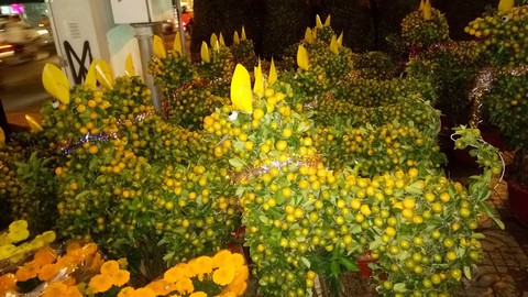 Dân Sài Gòn - Hà Nội bỏ tiền triệu sắm linh vật chó chơi Tết - Ảnh 6. Dân Sài Gòn - Hà Nội bỏ tiền triệu sắm linh vật chó chơi Tết - Ảnh 6.