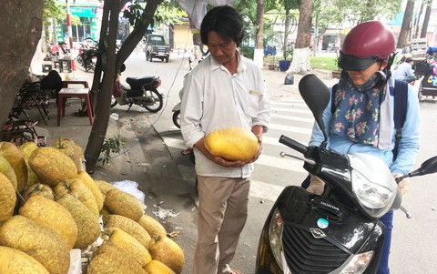 Lạ lẫm bưởi “khủng” chưng tết hơn chục ký - Ảnh 1. Lạ lẫm bưởi “khủng” chưng tết hơn chục ký - Ảnh 1.