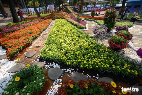 Hội hoa xuân Tao Đàn đã mở cửa đợi khách thưởng hoa - Ảnh 3. Hội hoa xuân Tao Đàn đã mở cửa đợi khách thưởng hoa - Ảnh 3.