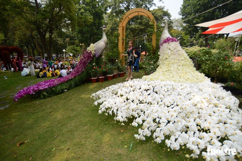 Hội hoa xuân Tao Đàn đã mở cửa đợi khách thưởng hoa - Ảnh 10. Hội hoa xuân Tao Đàn đã mở cửa đợi khách thưởng hoa - Ảnh 10.