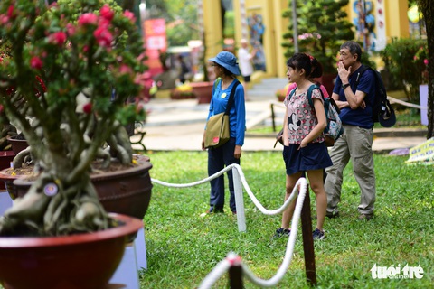 Hội hoa xuân Tao Đàn đã mở cửa đợi khách thưởng hoa - Ảnh 14. Hội hoa xuân Tao Đàn đã mở cửa đợi khách thưởng hoa - Ảnh 14.