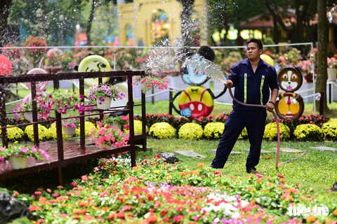 Hội hoa xuân Tao Đàn đã mở cửa đợi khách thưởng hoa - Ảnh 15. Hội hoa xuân Tao Đàn đã mở cửa đợi khách thưởng hoa - Ảnh 15.