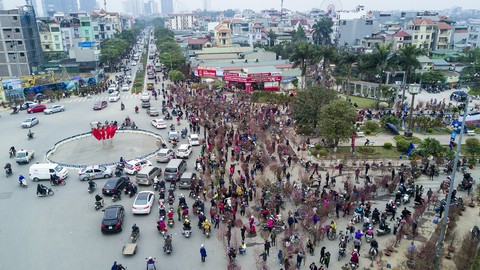 Dân Hà Nội đổ xô ra chợ hoa mua đào chơi Tết - Ảnh 8. Dân Hà Nội đổ xô ra chợ hoa mua đào chơi Tết - Ảnh 8.