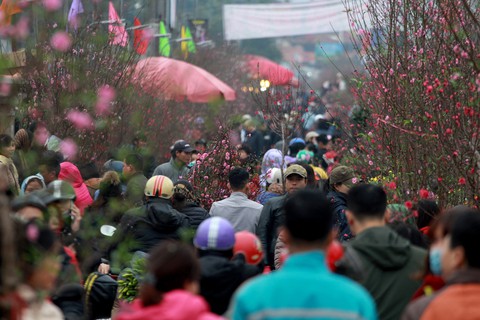 Dân Hà Nội đổ xô ra chợ hoa mua đào chơi Tết - Ảnh 7. Dân Hà Nội đổ xô ra chợ hoa mua đào chơi Tết - Ảnh 7.