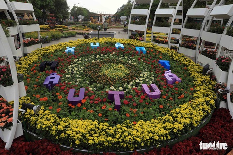 Chó Phú Quốc nổi bật ở đường hoa Nguyễn Huệ - Ảnh 23. Chó Phú Quốc nổi bật ở đường hoa Nguyễn Huệ - Ảnh 23.